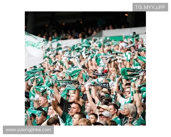 新球迷如何挑选支持的德甲球队？5大建议